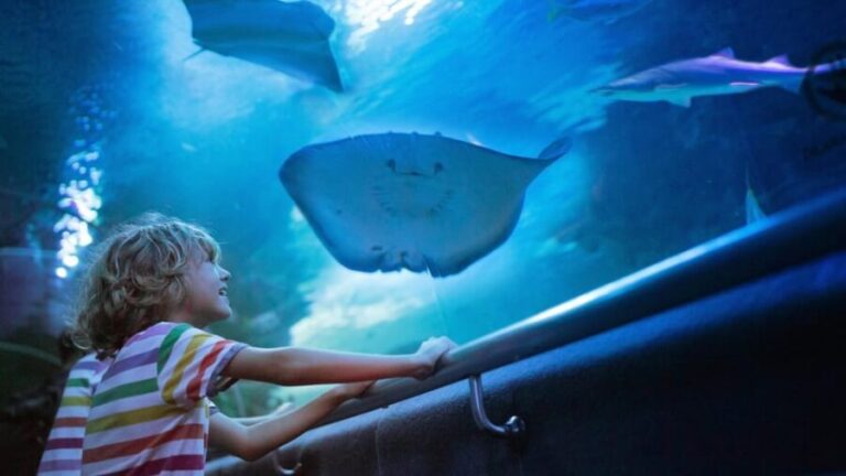 Antalya: Aquarium and Wax Museum Entry Ticket - Who Should Consider This Experience?