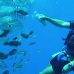 Antalya/ Kemer/ Belek Scuba Diving With Lunch & Transfer - Practical Tips for Booking and Enjoying the Tour