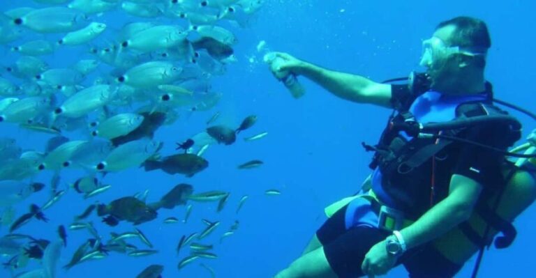 Antalya/ Kemer/ Belek Scuba Diving With Lunch & Transfer - Practical Tips for Booking and Enjoying the Tour