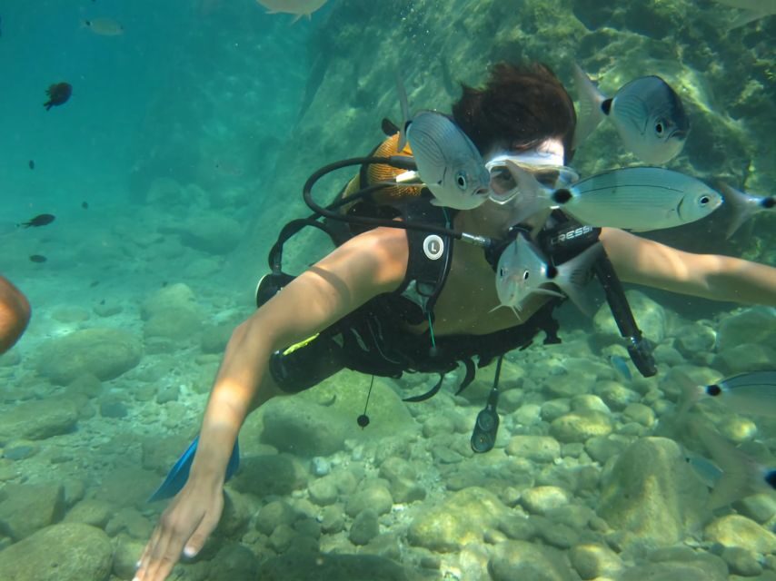 Antalya/Kemer: Scuba Diving Experience with Lunch & Pick up - The Itinerary: What to Expect on the Day
