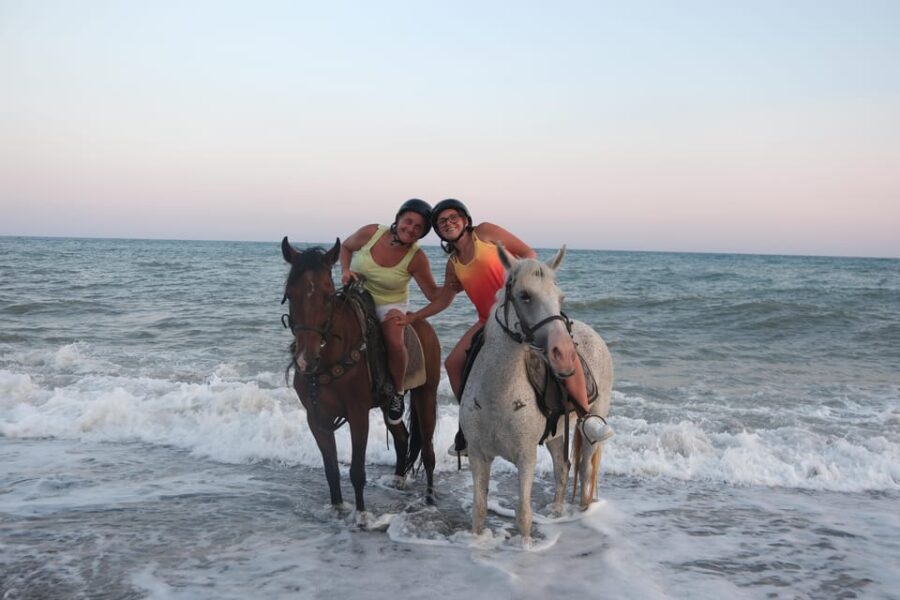 Antalya: Lara Beach & Forrest Horse Riding Safari - Final Thoughts: Is It Worth It?