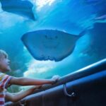 Antalya: Old Town Guided City Tour with Aquarium - Frequently Asked Questions