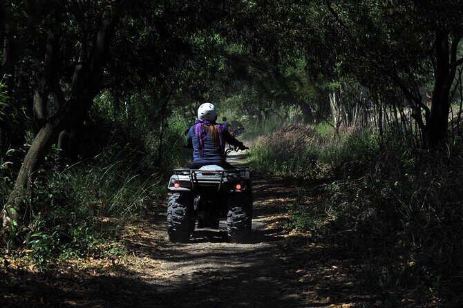 Antalya Quad Safari Experience by Local Experts - Is This Tour Worth It?