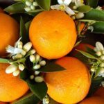 Antalya's Archaeological Treasures Tour - The Practical Side: What to Expect