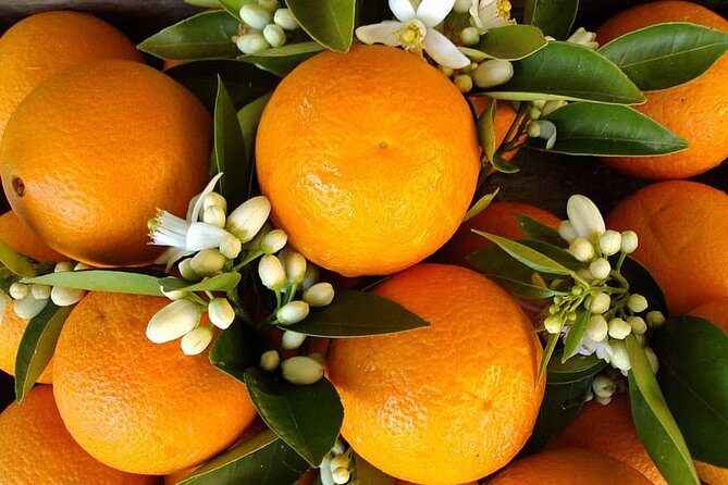 Antalya's Archaeological Treasures Tour - The Practical Side: What to Expect