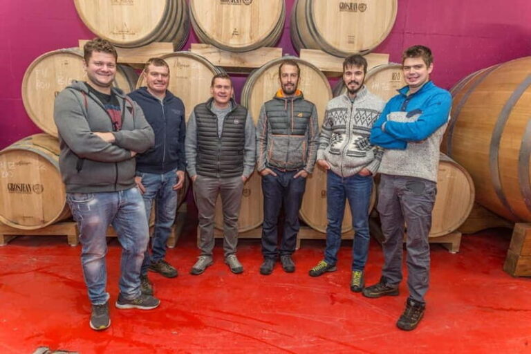 Aosta Valley: Visit and wine tasting at the Grosjean winery - Who Should Consider This Tour?