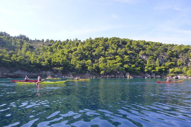 Aphrodite island kayak tour-Tolo - Price and Value Consideration
