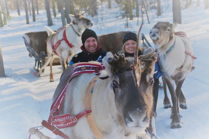 Apukka Reindeer Journey - The Value and Practicalities
