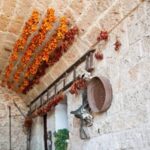 Apulia: Guided Vineyard Tour with Wine Tasting - Who This Tour Is Best For