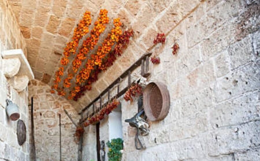 Apulia: Guided Vineyard Tour with Wine Tasting - Who This Tour Is Best For