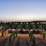 Apulia: Guided Wine Tasting with Local Appetizers - The Experience from the Traveler’s Perspective