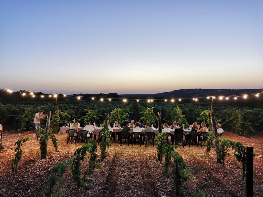 Apulia: Guided Wine Tasting with Local Appetizers - The Experience from the Traveler’s Perspective