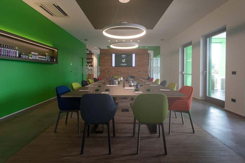 Apulia: oil tour, from field, to bottle, to food matching - The Itinerary: What to Expect from Field to Bottle