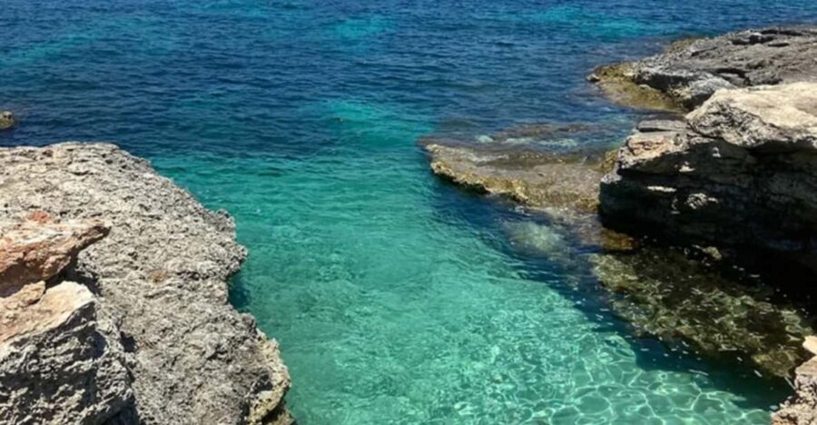 Aquatic Day Escape - Trips in Gozo, Comino & Malta - Who Is This Tour Best For?