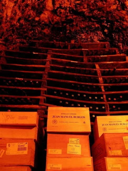 Aranda de Duero: Guided and Dramatized Visit to Medieval Wi - Visiting Details and Practical Tips