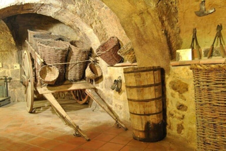Aranda de Duero: Tour of Underground Cellar and Wine Museum - The Balance of Value and Authenticity