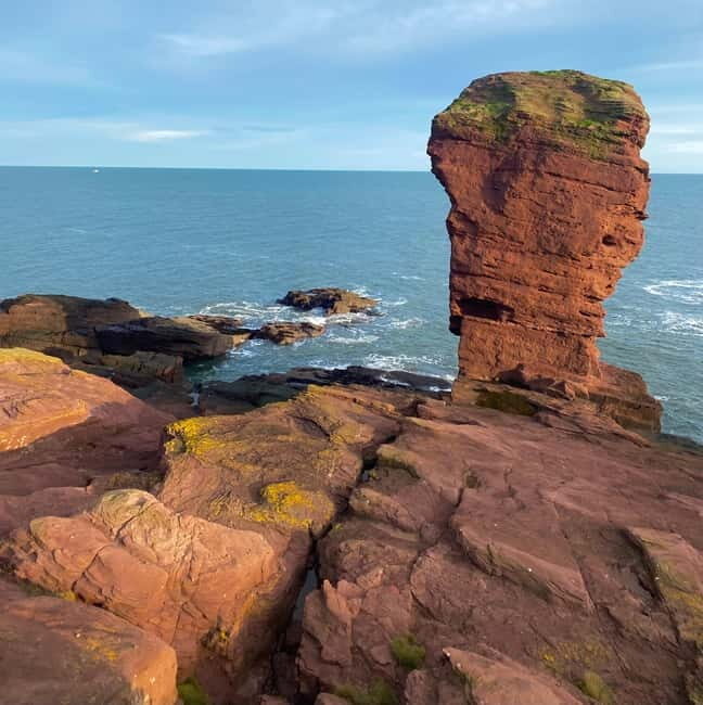 Arbroath: Seaton Cliffs Guided Walking Tour with Geologist - Practical Aspects and Value