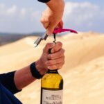 Arcachon Bay Full Day Trip from Bordeaux with lunch and Pyla Dune - How This Tour Fits Different Travel Styles