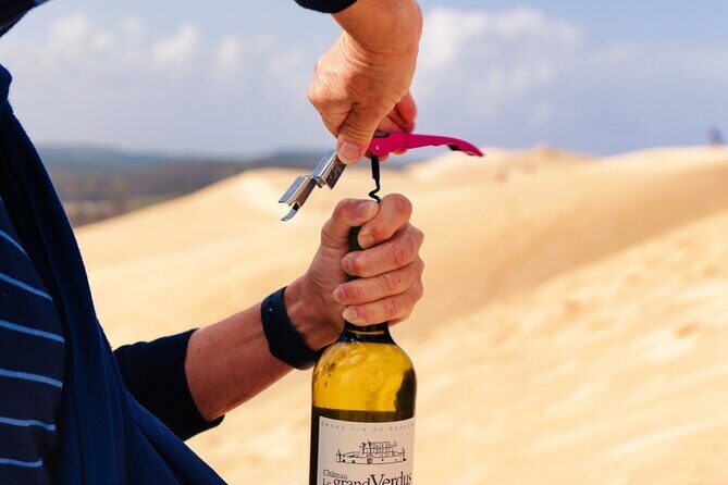 Arcachon Bay Full Day Trip from Bordeaux with lunch and Pyla Dune - How This Tour Fits Different Travel Styles