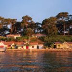 Arcachon: Discover the Bay on Board a Traditional Boat - Why We Think This Tour Is a Great Value