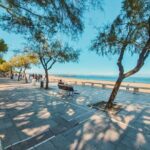 Arcachon: Guided City Walking Tour - The Value of This Tour