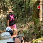 Arcadia experience, nature, people and culture - The Sum Up