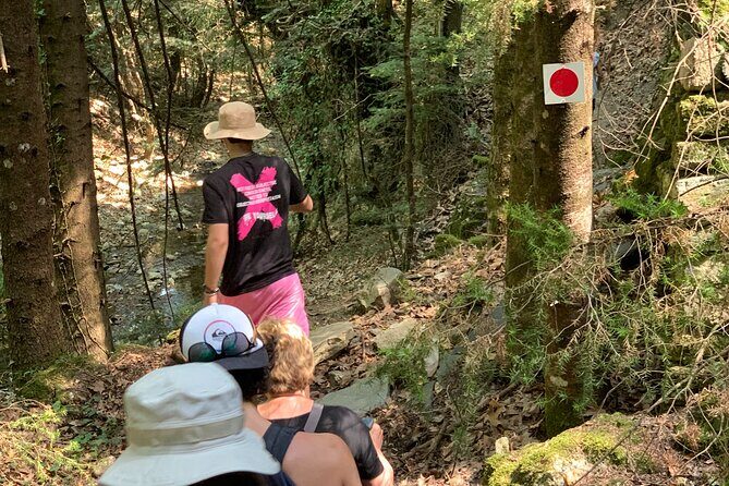 Arcadia experience, nature, people and culture - The Sum Up