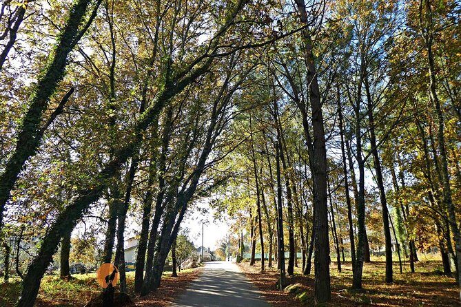 Archaeological Circuit of Fiais/Azenha and Cova da Moira - Cova da Moira and Its Significance