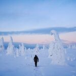 Arctic Adventure through Magical Frozen Forests of Riisitunturi - Why This Tour Offers Real Value