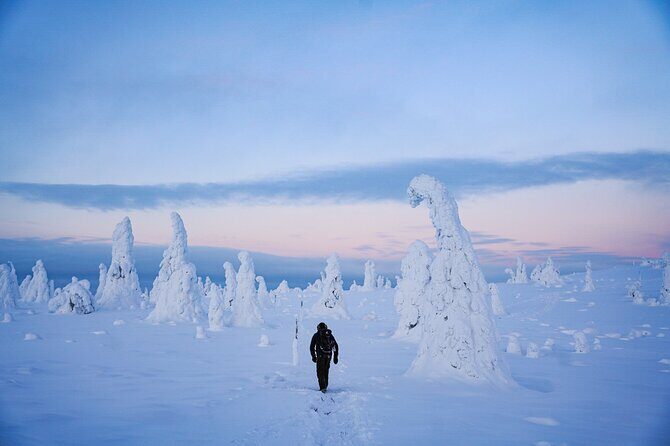 Arctic Adventure through Magical Frozen Forests of Riisitunturi - Why This Tour Offers Real Value
