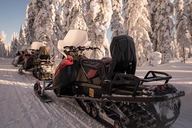 Arctic Circle Snowmobile Safari for Beginners in Rovaniemi - Who Should Consider This Tour?