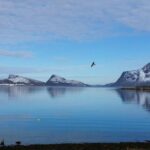 Arctic fjord and Landscape Tour - The Bottom Line: Who Should Consider This Tour?