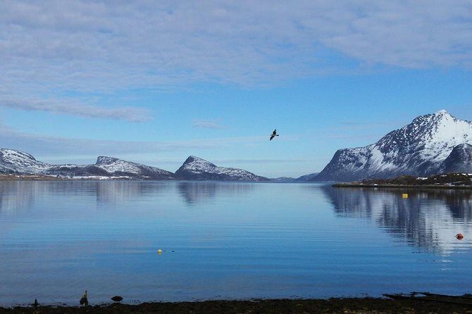 Arctic fjord and Landscape Tour - The Bottom Line: Who Should Consider This Tour?