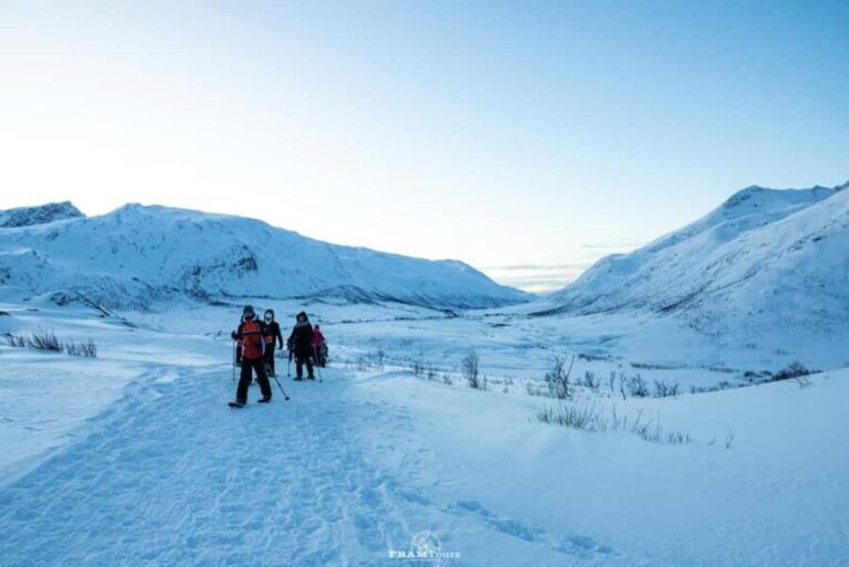 Arctic hike on Kvaløya Island with drinks and snacks - The Practicalities