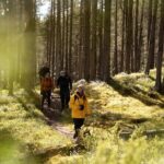 Arctic Hiking with Lappish Dogs - The Sum Up