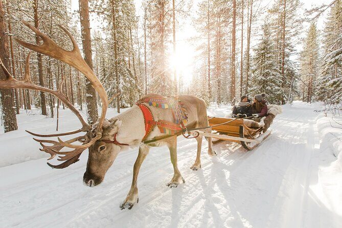 Arctic Huskies and Reindeers Fun in Rovaniemi - What’s Included & What’s Not