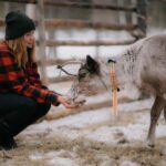 Arctic Reindeer Farm Experience with Snowshoeing in the Wild - What to Expect: Practical Details and Impressions
