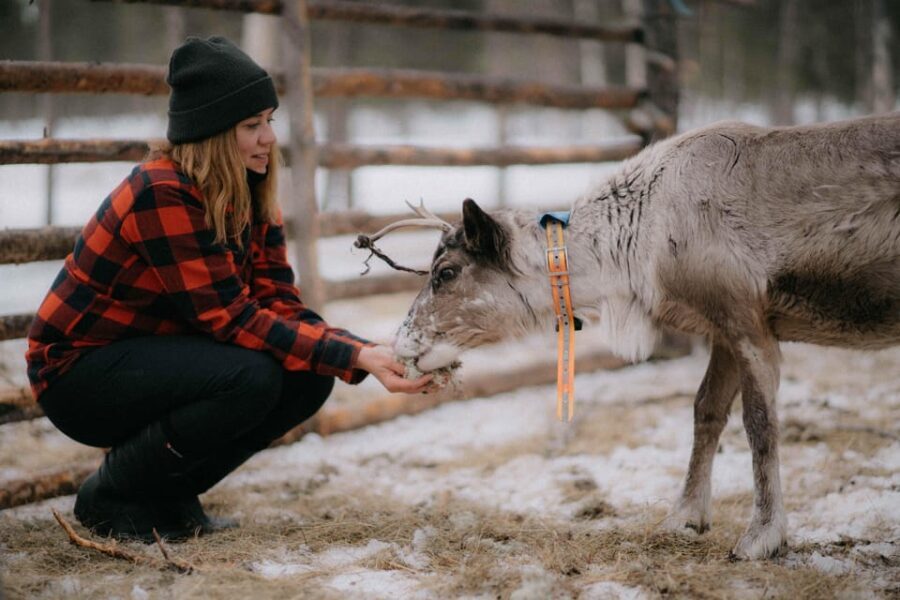 Arctic Reindeer Farm Experience with Snowshoeing in the Wild - What to Expect: Practical Details and Impressions