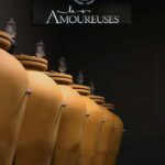 Ardèche: Cellar tour and tasting of our range - What to Expect Step-by-Step