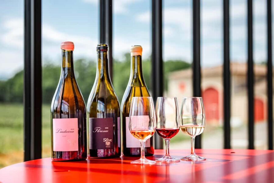 Ardèche: guided tour of our wine estate with tasting - Why It’s Worth It