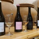 Ardéchois regional agreements - An In-Depth Look at the Experience