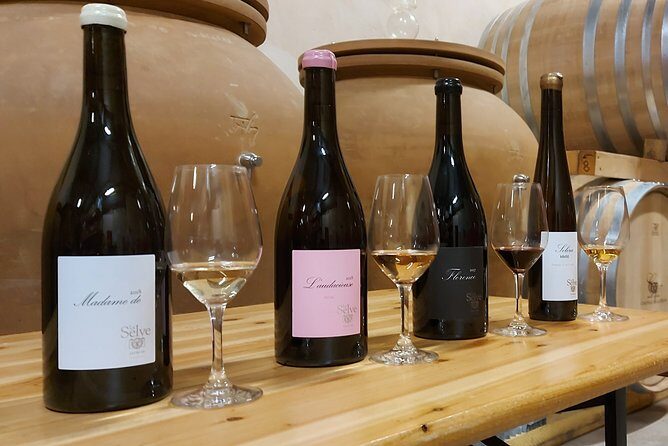 Ardéchois regional agreements - An In-Depth Look at the Experience