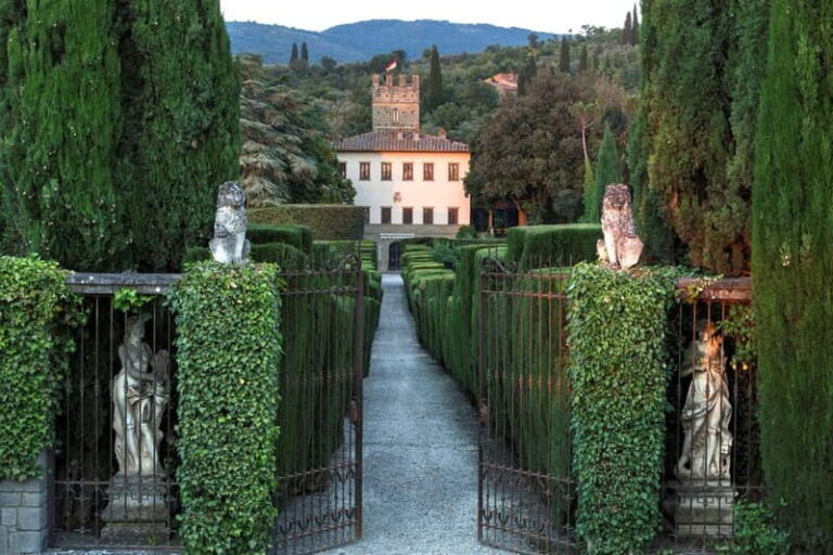 Arezzo Experience: Winery Tour and Wine Tasting - Evaluating the Value and Who Will Love It