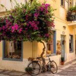 Argolis, Trip to Culture (Nafplio, Epidaurus, Mycenae) from Athens - Who Is This Tour Best Suited For?