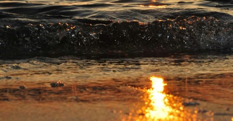 Argostoli: Sunset cruise with food & drinks - Why This Tour Offers Good Value