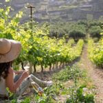 ARISMARI  Vineyard Tour & Wine Tasting - Why This Tour Excels