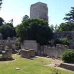 Arles and Camargue Full-Day Tour including Aigues Mortes - Pricing and Value