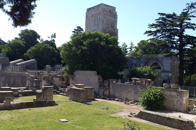 Arles and Camargue Full-Day Tour including Aigues Mortes - Pricing and Value