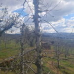 Armamar: Apple Orchard Tour with Lunch and Tastings - Practical Details and How to Get the Most Out of It