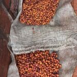 Armenia, Quindío: Traditional coffee farm tour with roasting and transportation - Final Thoughts